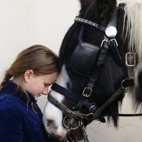 Hondenfoto van Tamara,Kallista & Marcel, Hercule †, Yordi †
