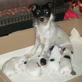 wat is moeders trots...ze doet het zo goed...