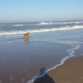 Mijn lieverdje op het strand