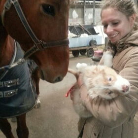 Hondenfoto van Marissa & Zuko