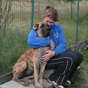 Hondenfoto van Of Devoted Dogs 