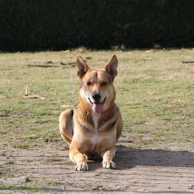 Bram februari 2014