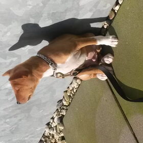 Genietend in de zon!