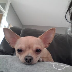 Yentl selfie
