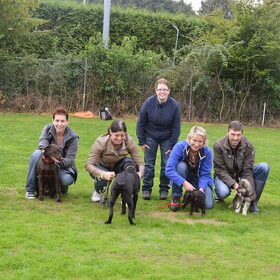 puppycursus 2013/2014