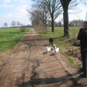 Bij mijn ouders op de zandpad