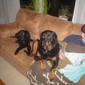 samen met tante luna op de bank