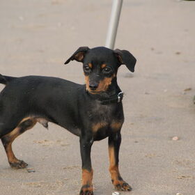 Spike @ Zandvoort..