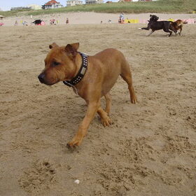 Op het strand