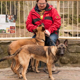 Dagje Rhenen