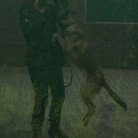 Mechelse herder valt fotograaf aan :-)