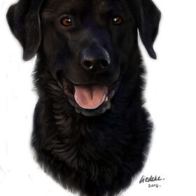 Tekening van Riley, van Erika.