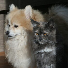 Cloudy en Jumaana