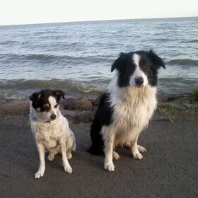 Hondenfoto van Inge, baasje van Sasha en Myra <3