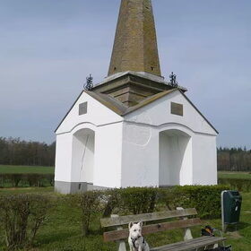 Hondenfoto van Sandra, Mecx en Fenne.