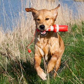 1-4-2014