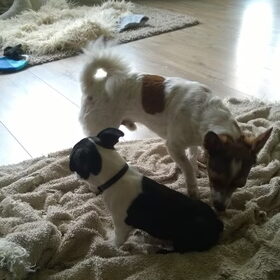 schatjes