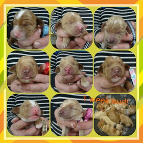 Portretjes, 1 week oud!