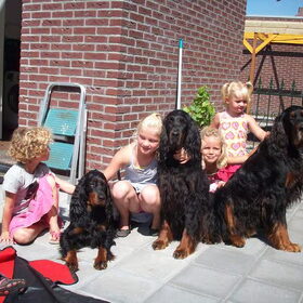 Mijn buurkinderen met mijn honden, een gezellige boel!!!!