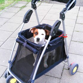 ik zie er uit alsof ik reclame maak voor de buggy,niet?