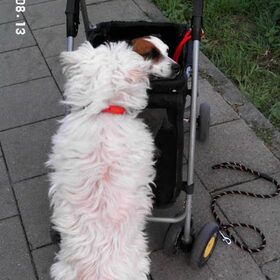 alles oke?