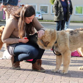 Pas op vrouwtje.. dat is wel een hele grote pup!