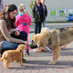 Toch maar even snuffelen..