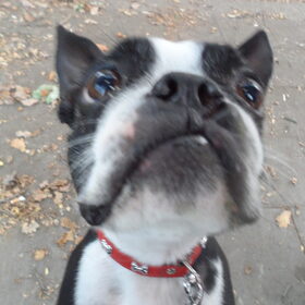 hu? camera?