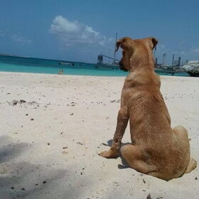 Beach time
