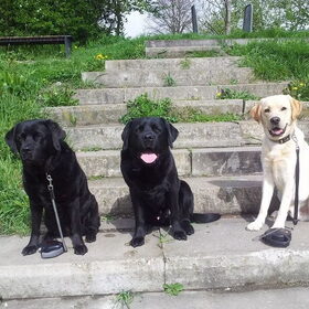 Hondenfoto van ..Nadine&Denzel..
