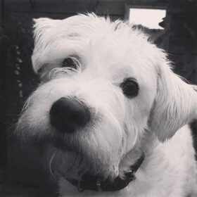 Jack