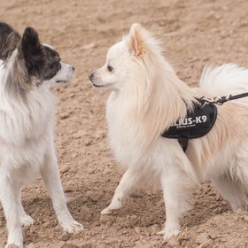 Met Lola van Janine!
