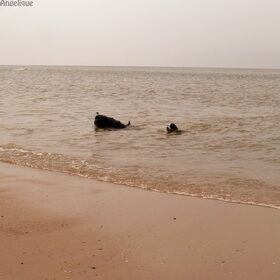 HP-wandelling 21-04-2014