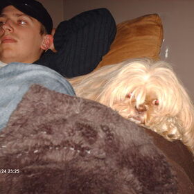 Hondenfoto van liesbeth,Turbo,Luna, Levi en Faith