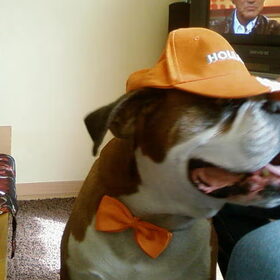 koninginnedag :D
