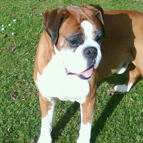 even poseren voor de foto:P