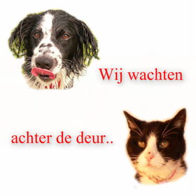Idee 1