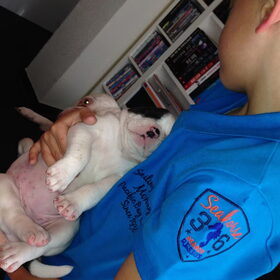 Onze lieve , kleine Dice... (8)