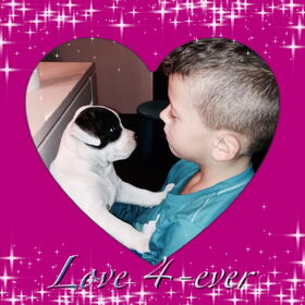 Onze lieve , kleine Dice... (13)