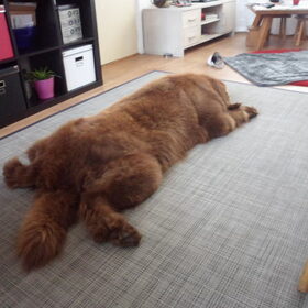 lekker relaxen !!