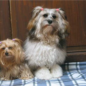 Samen poseren