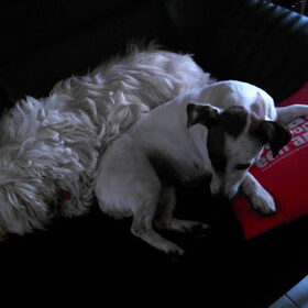 schattig toch!