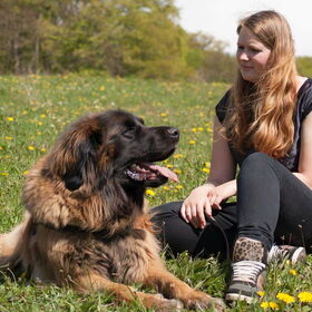 Hondenfoto van <3 Ayla&Jara <3 