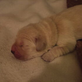 wat een droppie