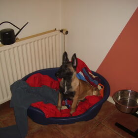 Storm's Nieuwe Mand
