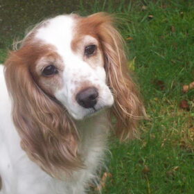 deze foto vind ik zelf prachtig