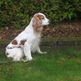 en weer poseren