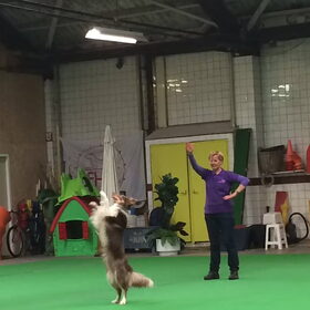 Workshop dog dance Brigitte van gestel