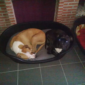 Mijn maatje Alex in zijn nieuwe thuis ;-)