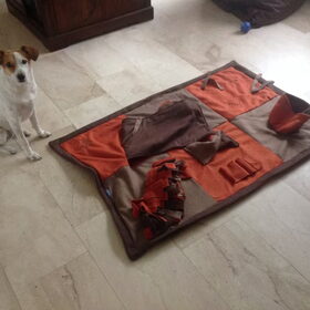 Hondenfoto van Missy & Lady † 